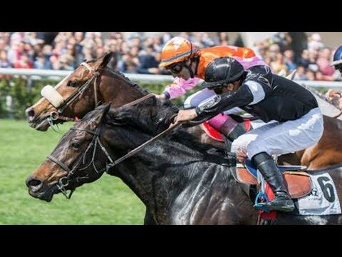 Degustaci&oacute;n de Cocina Internacional con Sabor Espa&ntilde;ol