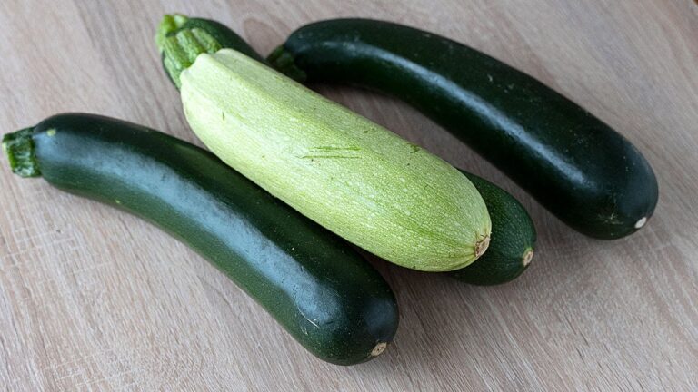 Deliciosas recetas saludables con calabac&iacute;n fresco