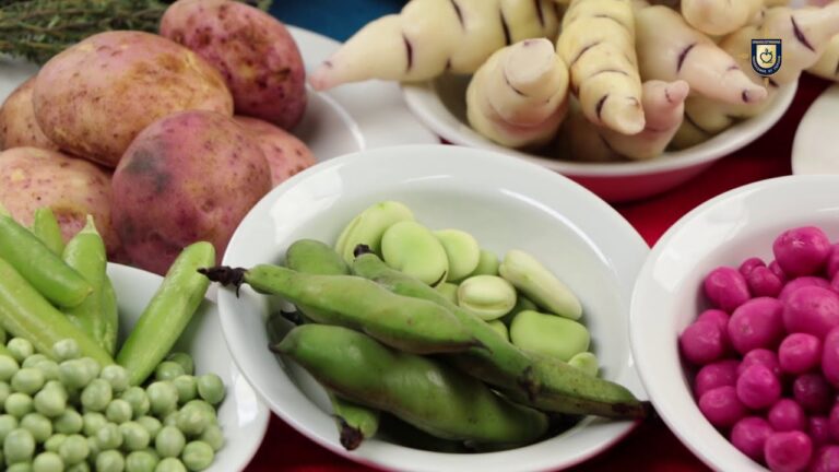 Descubre el aut&eacute;ntico sabor portugu&eacute;s en la cocina global