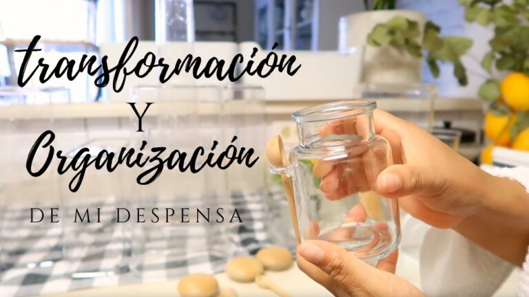 Consejos Pr&aacute;cticos para Organizar la Despensa