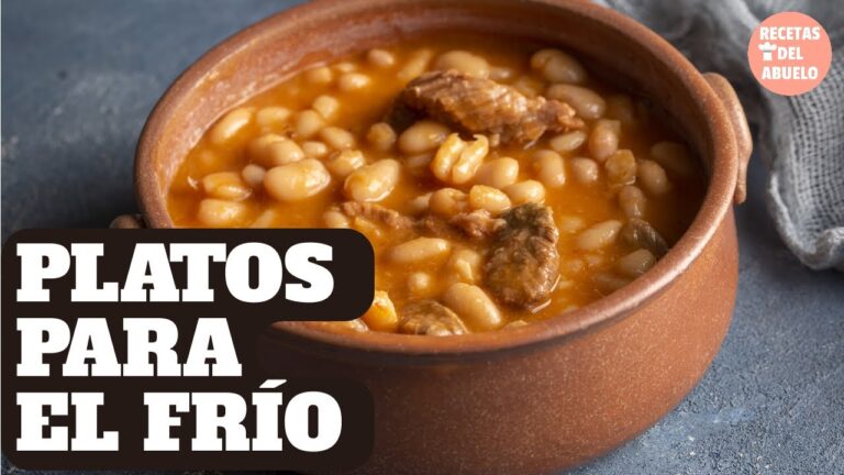 Sopas Reconfortantes: Gu&iacute;a para Principiantes