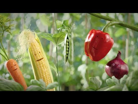 Delicias Frutales: Platos Llenos de Color y Sabor