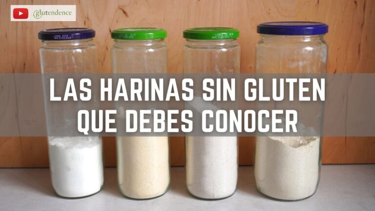 Alternativas Sin Gluten para una Cocina Saludable