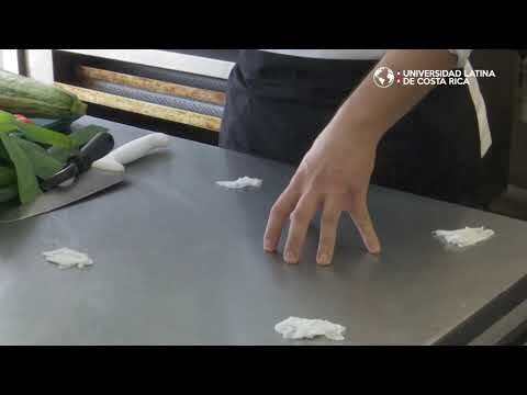 Fusi&oacute;n Suiza en la Cocina Internacional