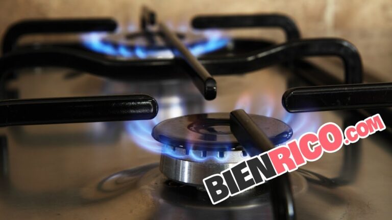 Consejos Pr&aacute;cticos para Cocinar con Horno de Gas