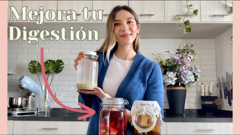 Cocteles Innovadores con Ingredientes Fermentados