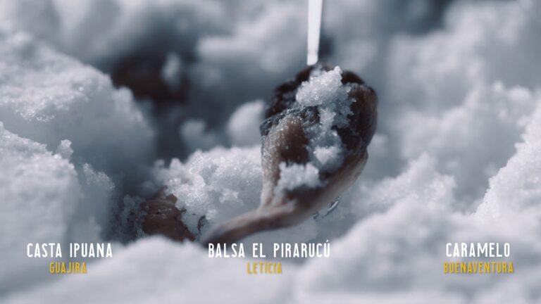 Descubre las Mejores Experiencias Gastron&oacute;micas con Ingredientes Locales