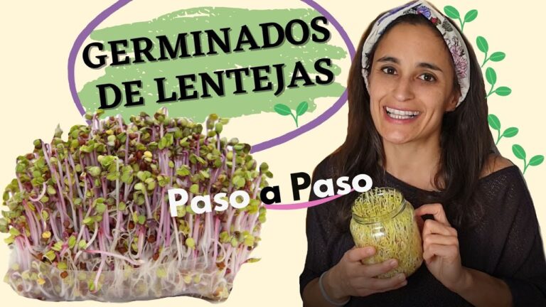 Recetas Veganas Innovadoras Sin Az&uacute;car A&ntilde;adida