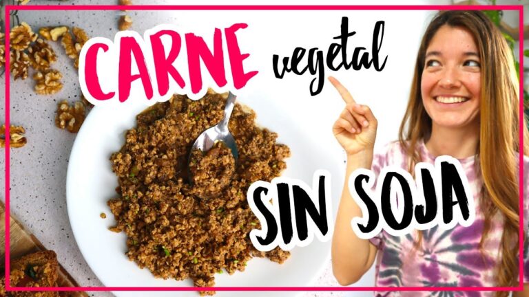 Recetas Vegetarianas F&aacute;ciles sin Soja