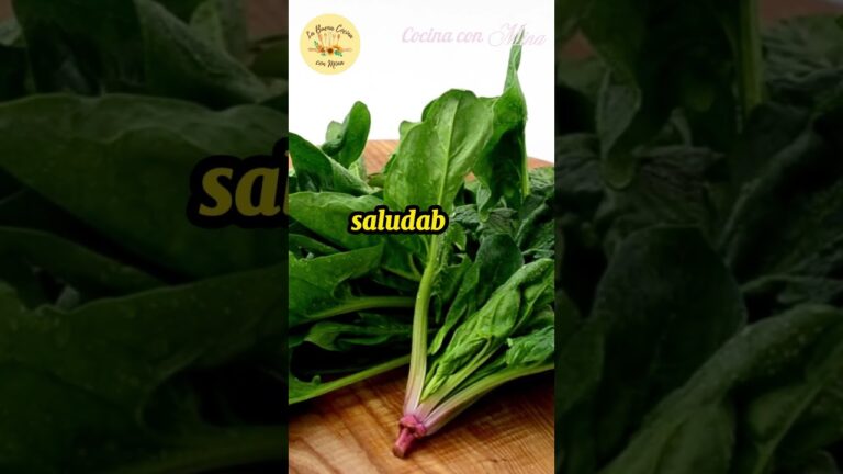 Recetas Creativas de Espinacas para una Alimentaci&oacute;n Saludable