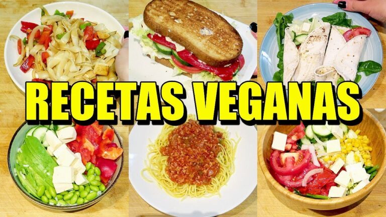 Recetas Veganas R&aacute;pidas y Deliciosas