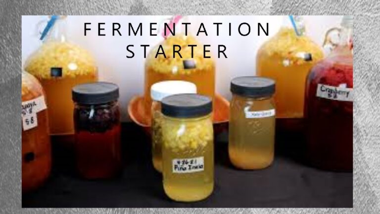 C&oacute;cteles Refrescantes con Toque Herbal