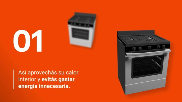 Consejos Esenciales para Cocinar al Horno de Gas: Gu&iacute;a para Principiantes