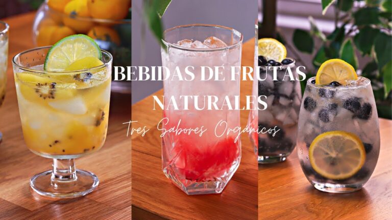 Deliciosas Bebidas Refrescantes con Sabor a Frutas