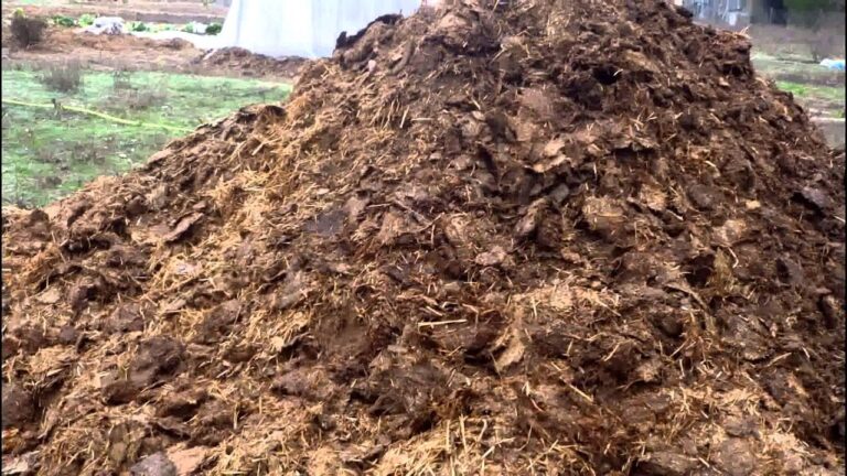 Cocinando con Ingredientes Org&aacute;nicos de la Granja