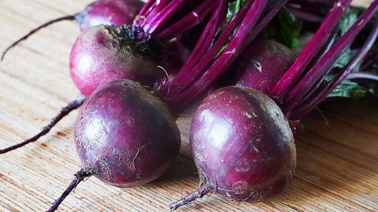 Recetas Deliciosas con Remolacha y Ingredientes Frescos