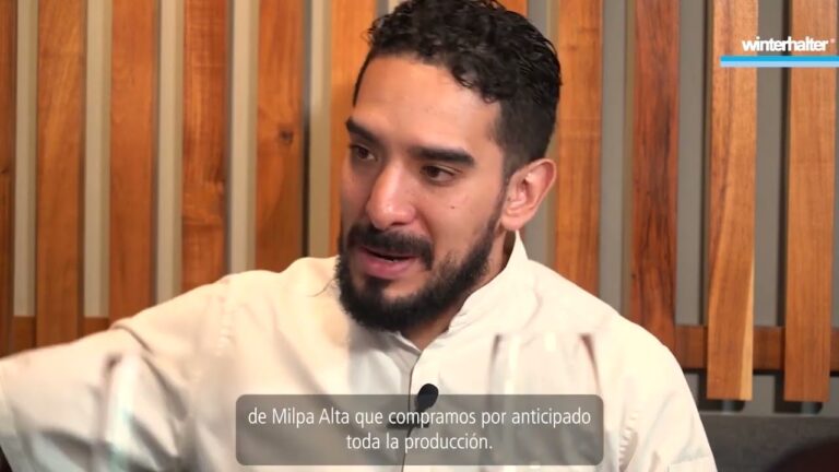 Revolución de la Innovación Culinaria Mexicana en el Ámbito Internacional
