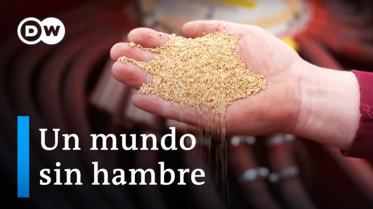 Recetas Sostenibles con Productos Locales