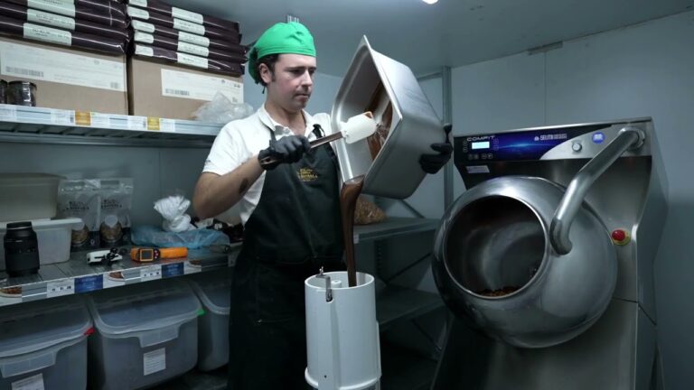 Maridaje Perfecto: Vinos Tintos Robustos y Postres