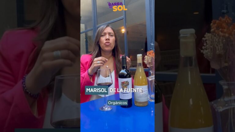 Maridaje Perfecto: Descubre Vinos Org&aacute;nicos Idealmente Combinados