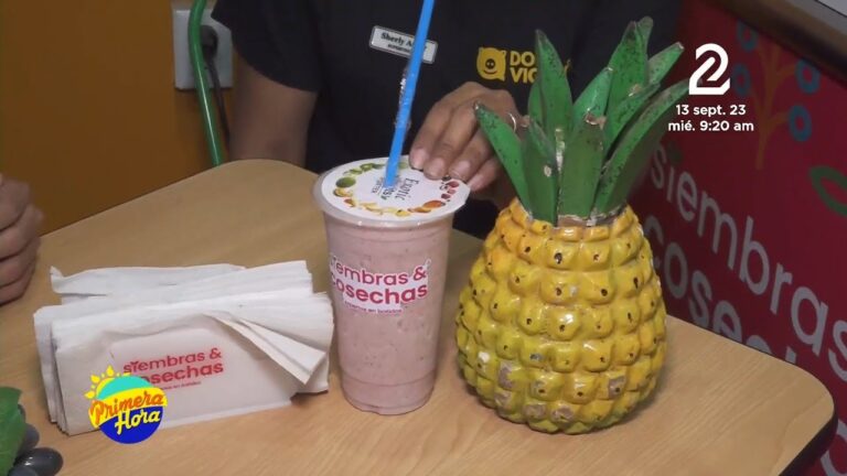 Sabores de la Cosecha en la Cocina