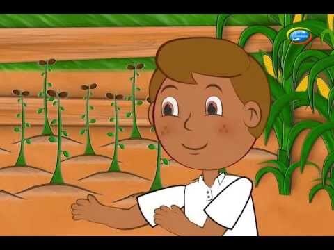Recetas Creativas con Frutas para Ni&ntilde;os
