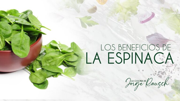 Propiedades Saludables de las Espinacas en Recetas deliciosas