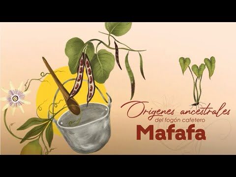 Sabores Aut&oacute;ctonos: Recetas con Ingredientes Locales