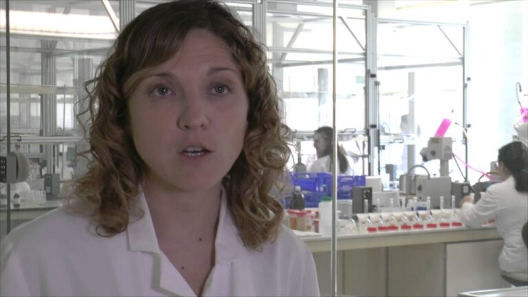 Innovaci&oacute;n en la Presentaci&oacute;n de Alimentos: Creatividad y Estilo