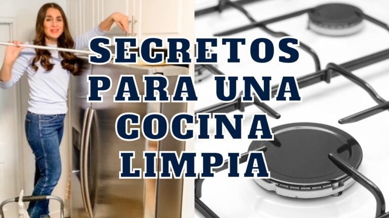 Consejos Esenciales para una Cocina Reluciente
